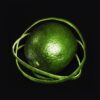 Big Thief – Double Infinity