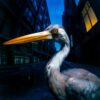 Antony Szmierek – Decoding Birdsong